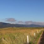 on the raod ... near Cooma