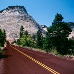 On the red Road to Checkerboard Mesa, Zion National Park, Utah