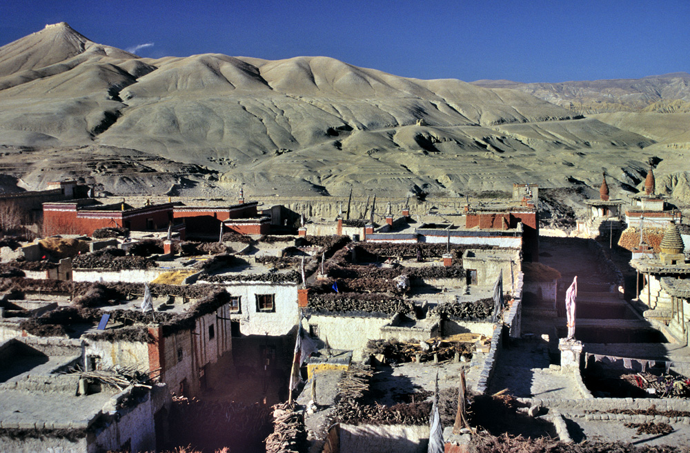 On the residential roofs in Mustang city