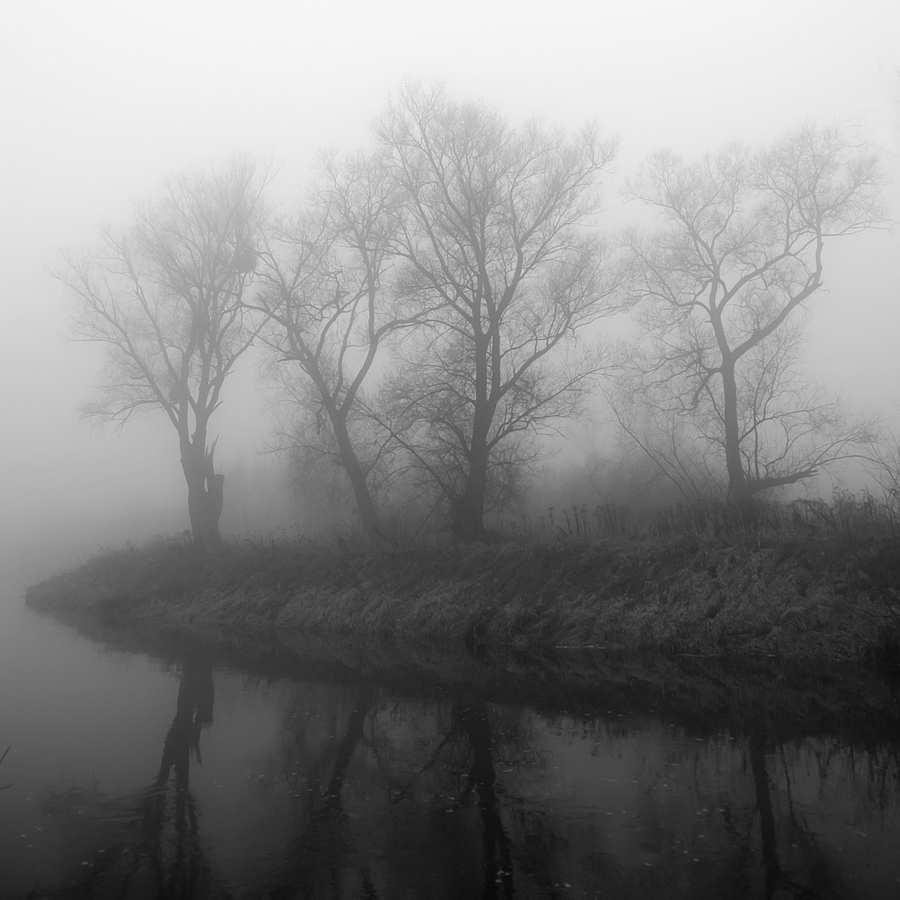 On the river bank