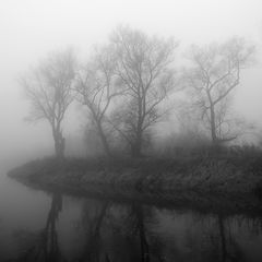 On the river bank