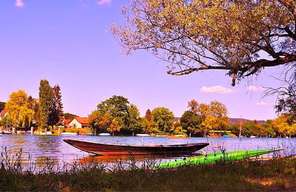 On the river