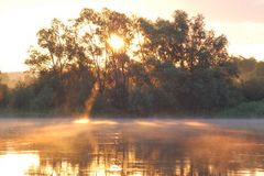 On the River Oder 3