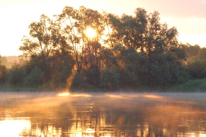 On the River Oder 4