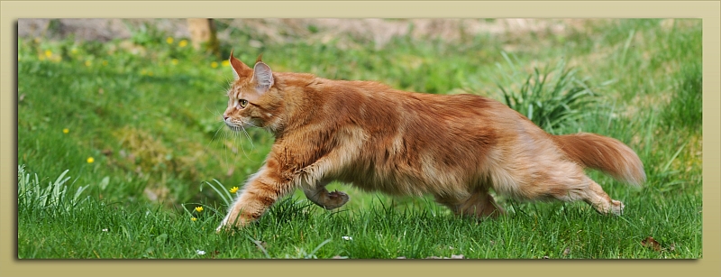 On the road again...