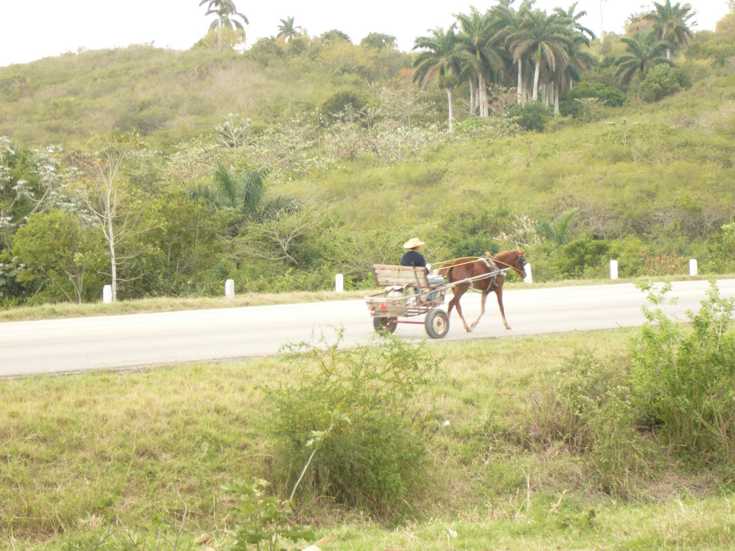 On the road cuba