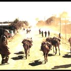 On the road (Ethiopia)