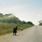 On the road from Nkwichi to Lichinga