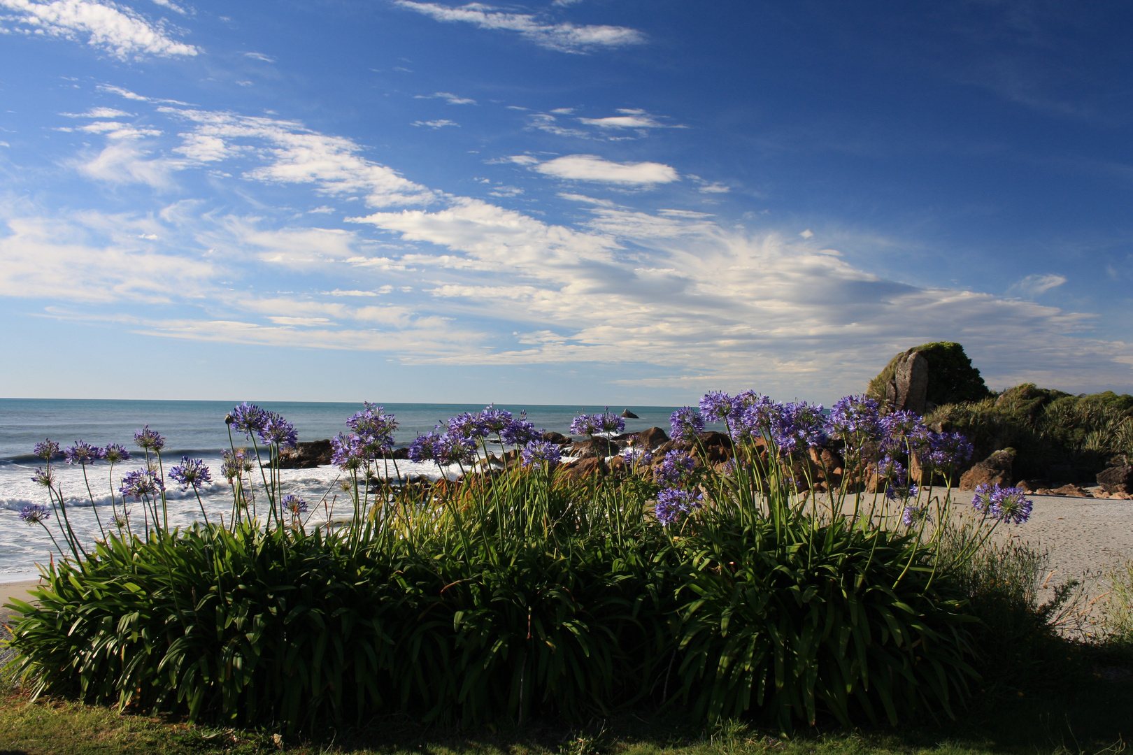 On the road from Westport to Greymouth