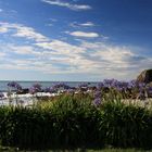 On the road from Westport to Greymouth