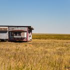 on the road from Yellowstone to Glacier Nationalpark