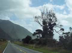 On the road in NZ