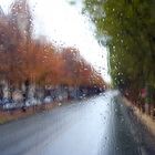 On the road in Paris