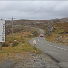 On the Road - Isle of Harris