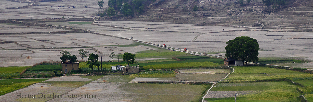 On the road , Khatmandu 