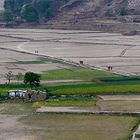 On the road , Khatmandu 