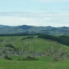 On the Road, New Zealand