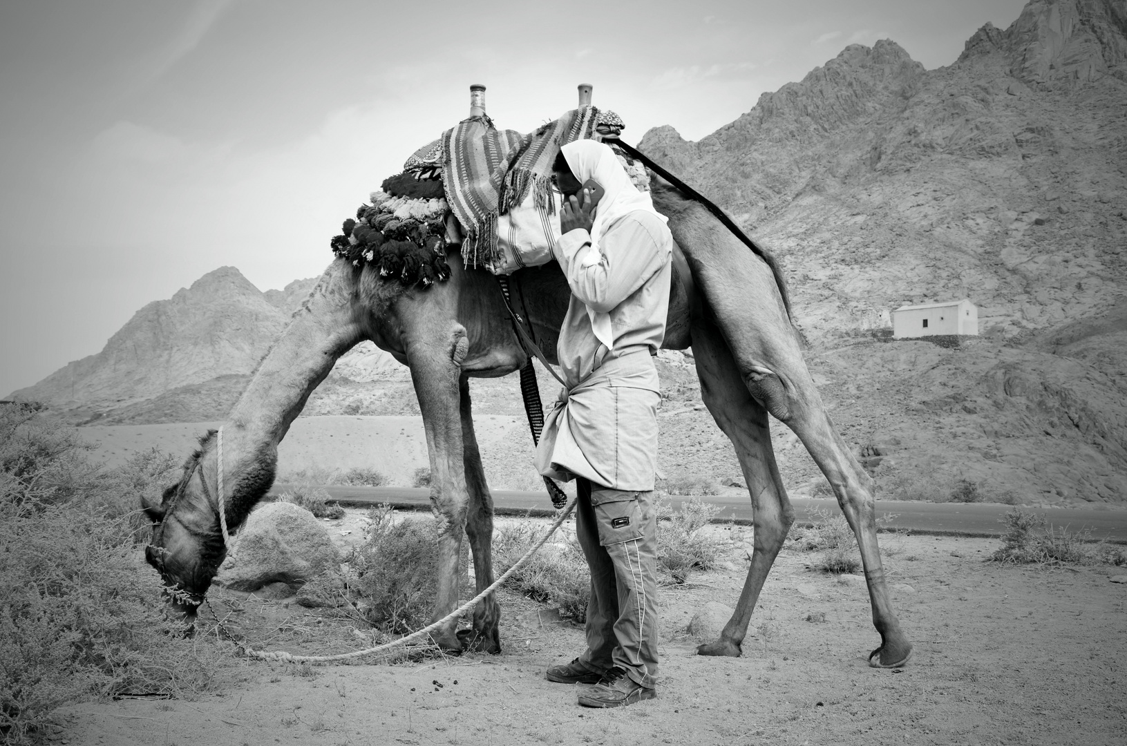 On the road through a stone desert/ Sinai/ Egypt