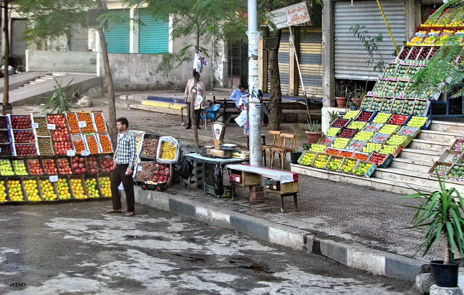 On the Road to Cairo (4)