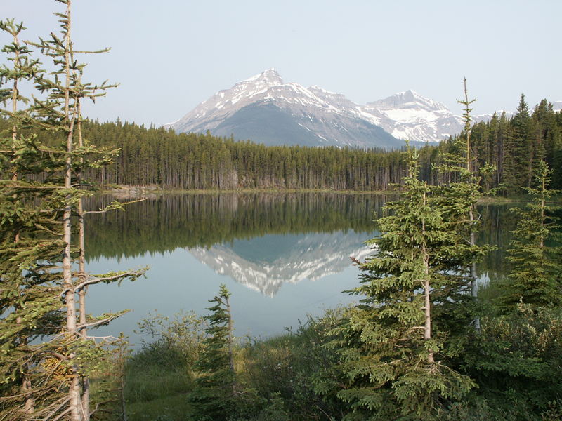 On the road to Jasper..