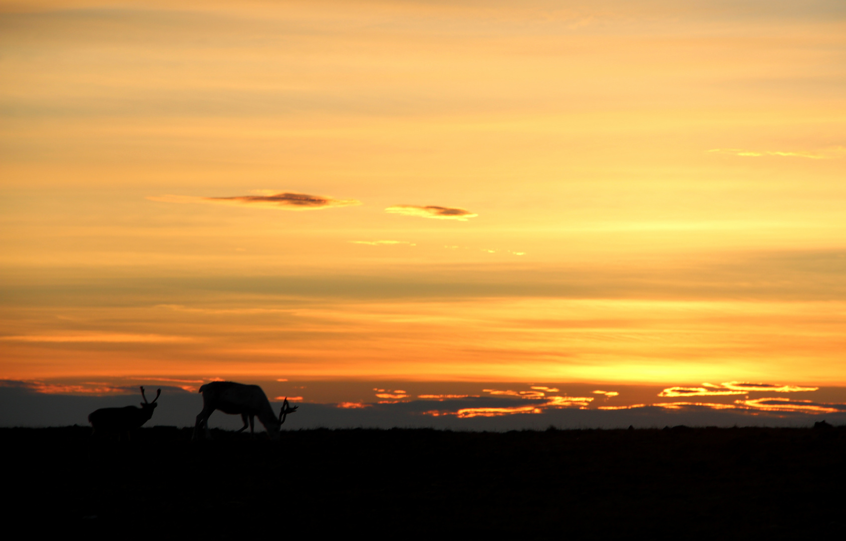 On The Road To North Cape...