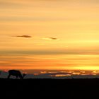 On The Road To North Cape...