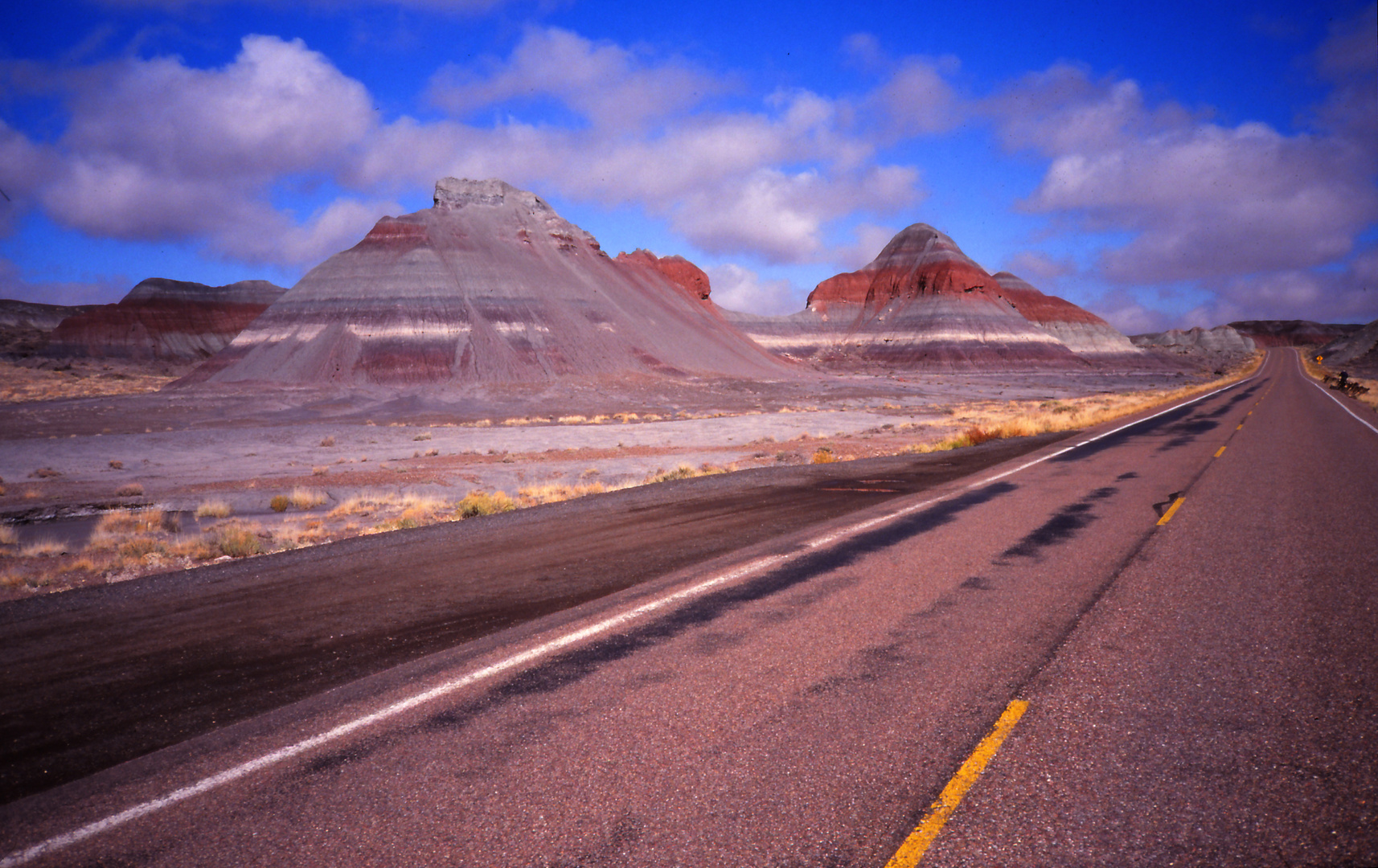 on the road to petrified forest