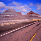 on the road to petrified forest