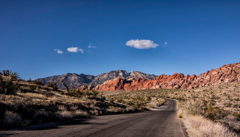 On the road to Red Rock