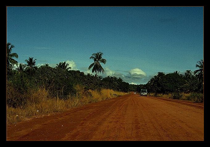 on the road to Shimba Hills !