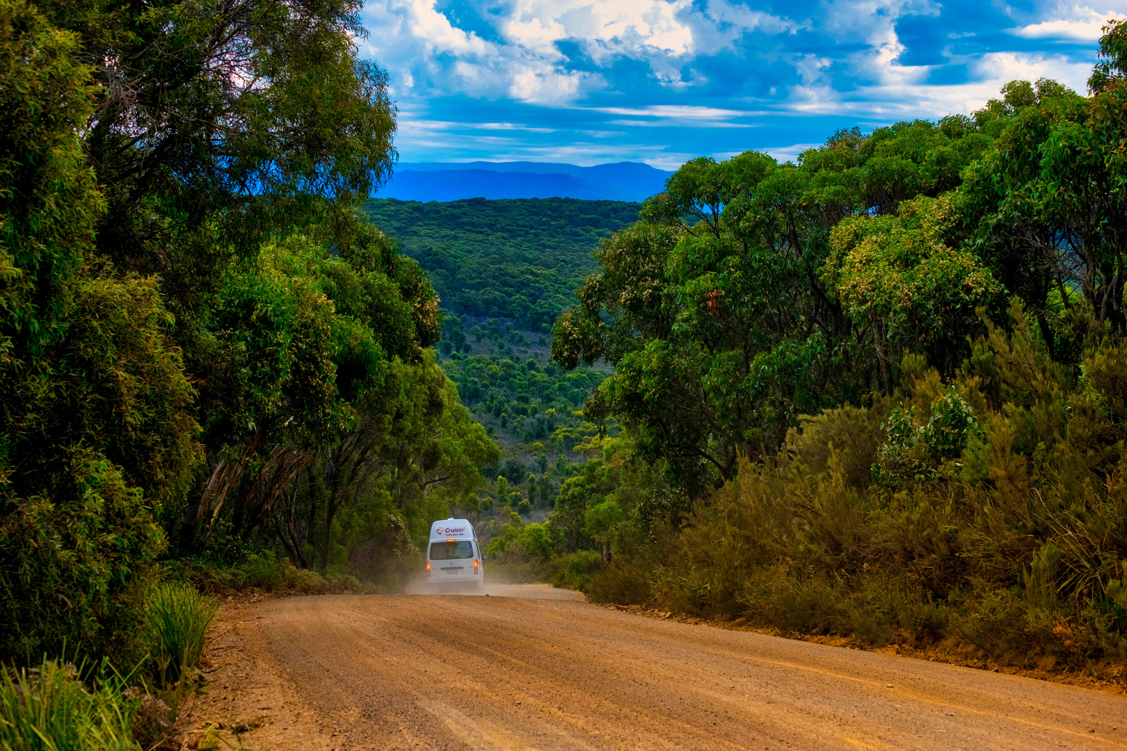 on the road to South Bruny Island 2