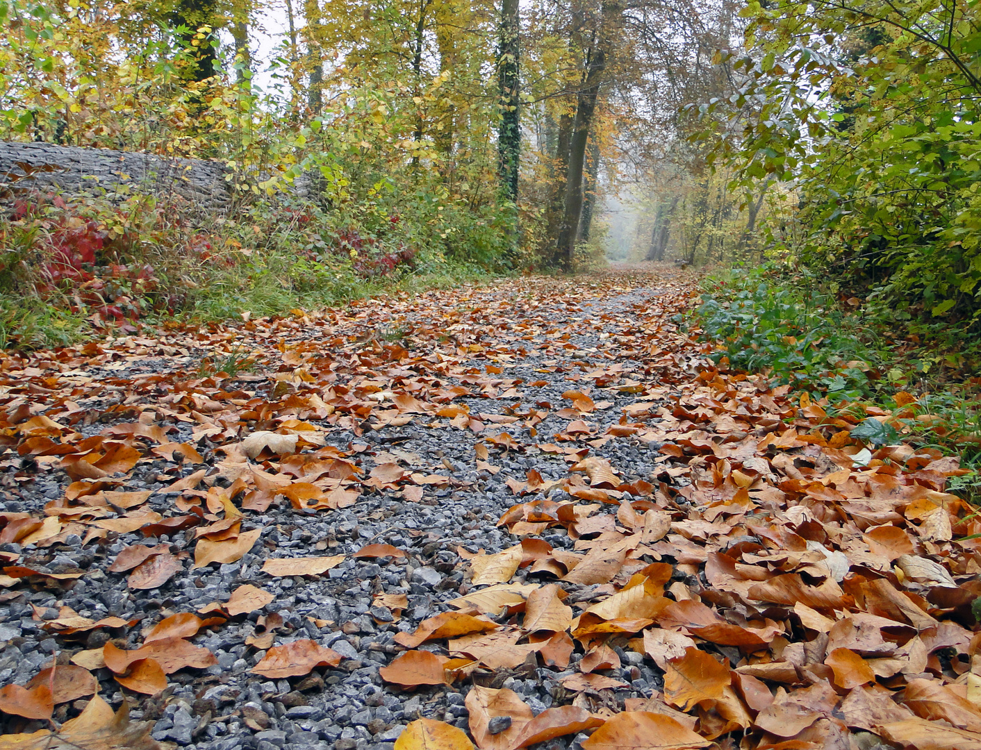 On the road to winter