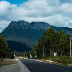 on the road to Zeehan