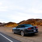 On the Road with a Mustang