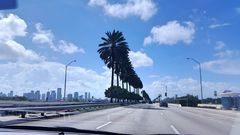 On the roads from Miami Beach