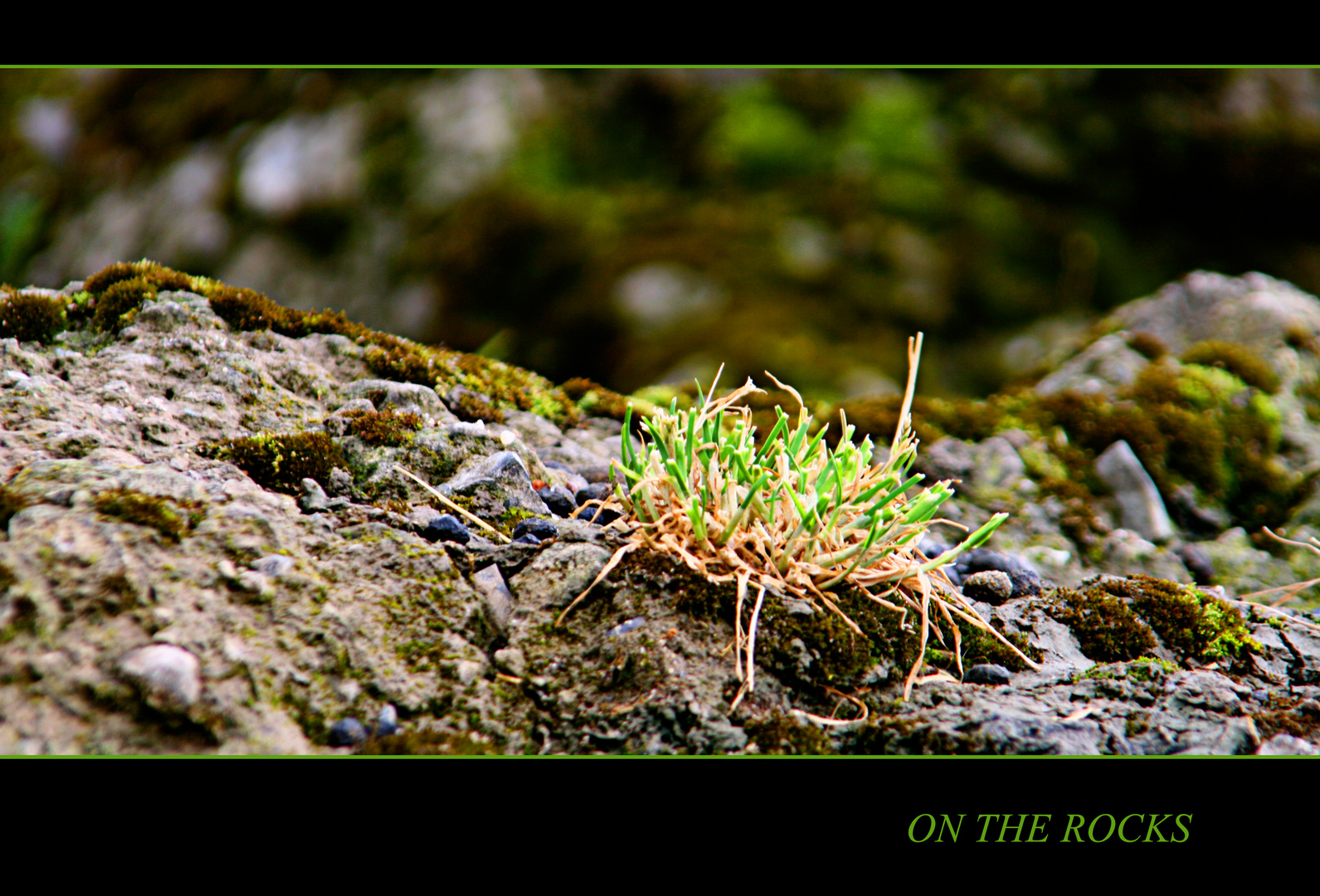 ON THE ROCKS