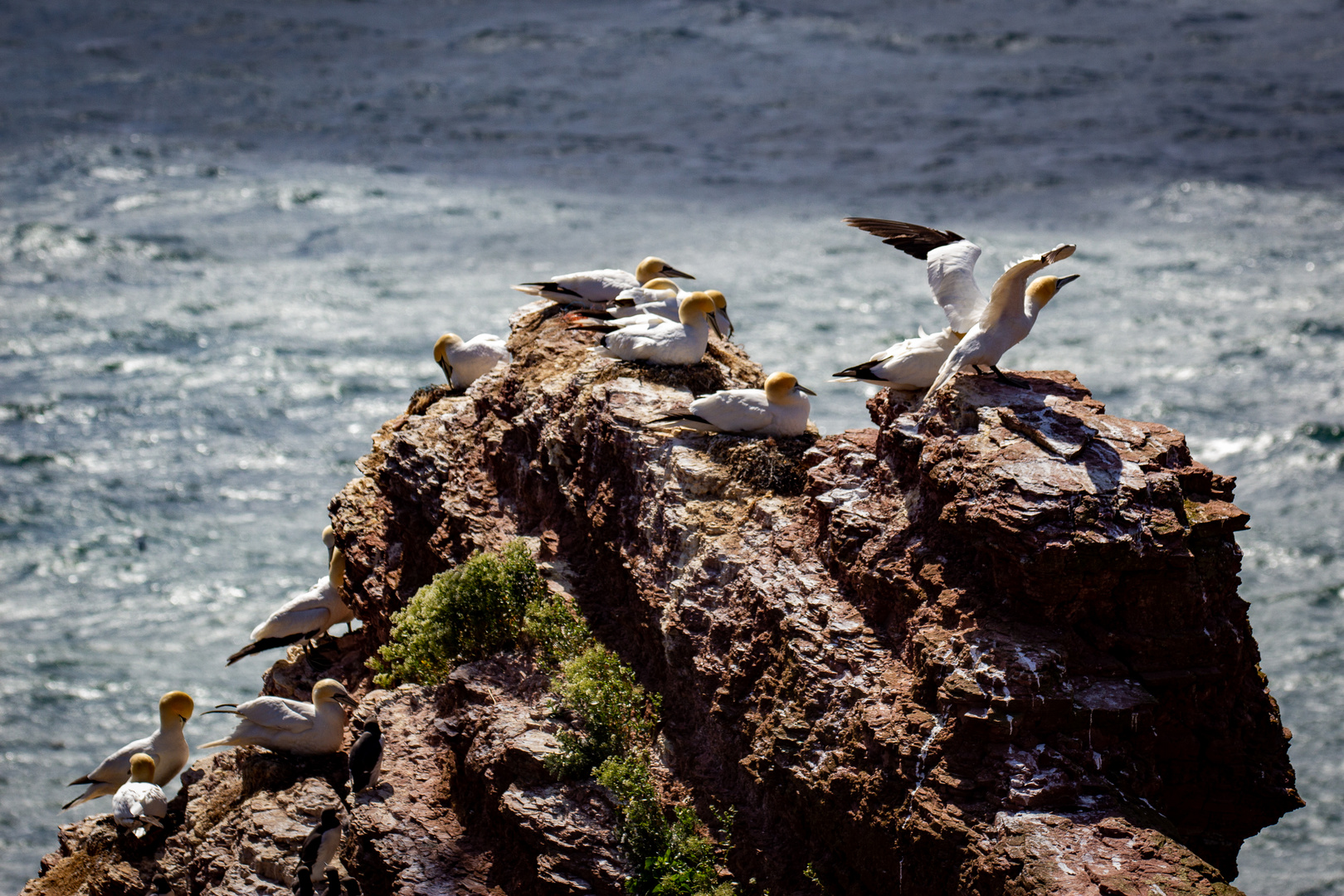 On the Rocks