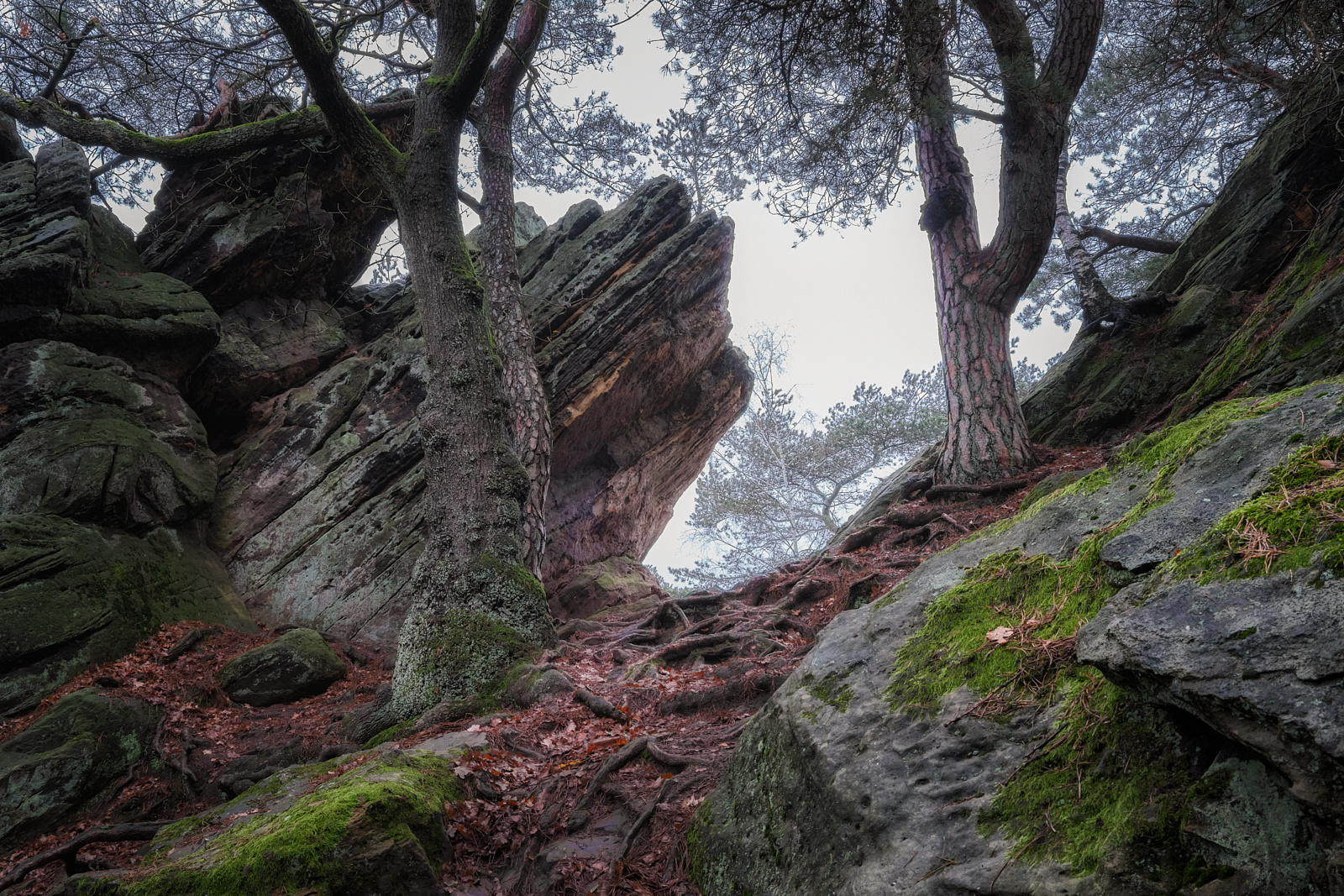 On the rocks