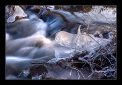 ***On the Rocks***