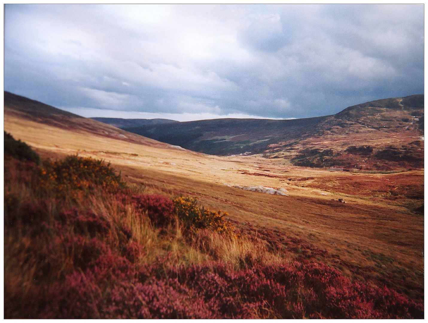 On the rocky road to Dublin