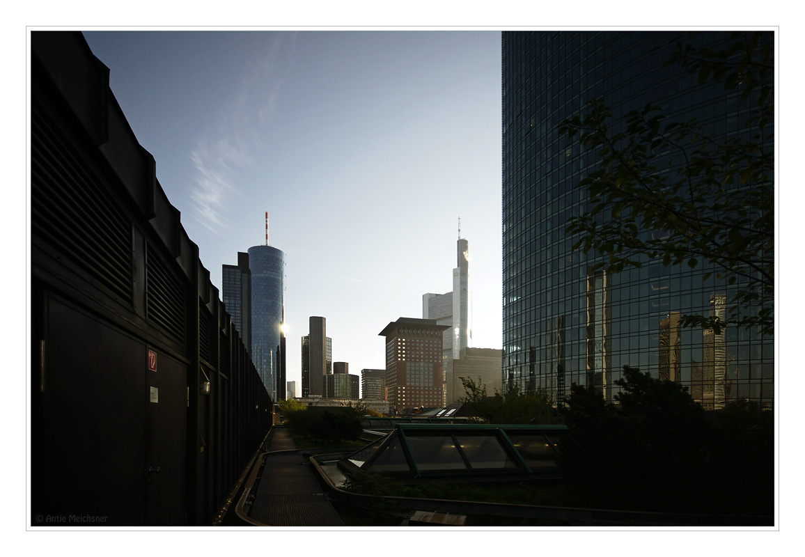 [ on the roof in the morning ]