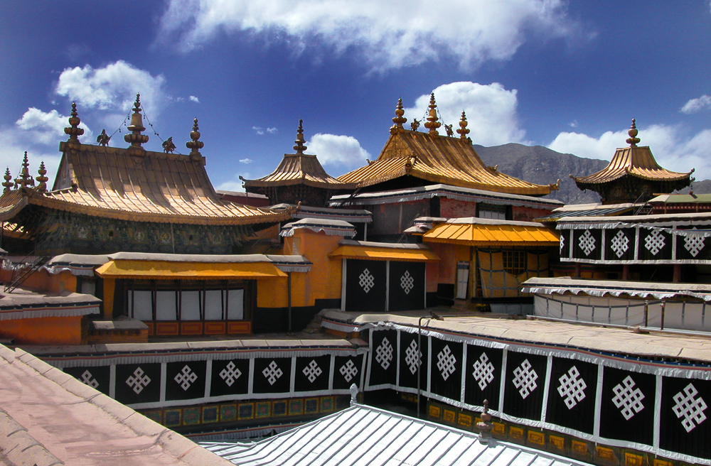 On the roof top of the Potala