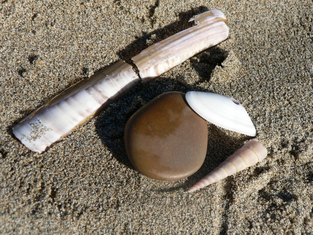 On the sand