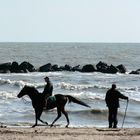 on the sea in winter