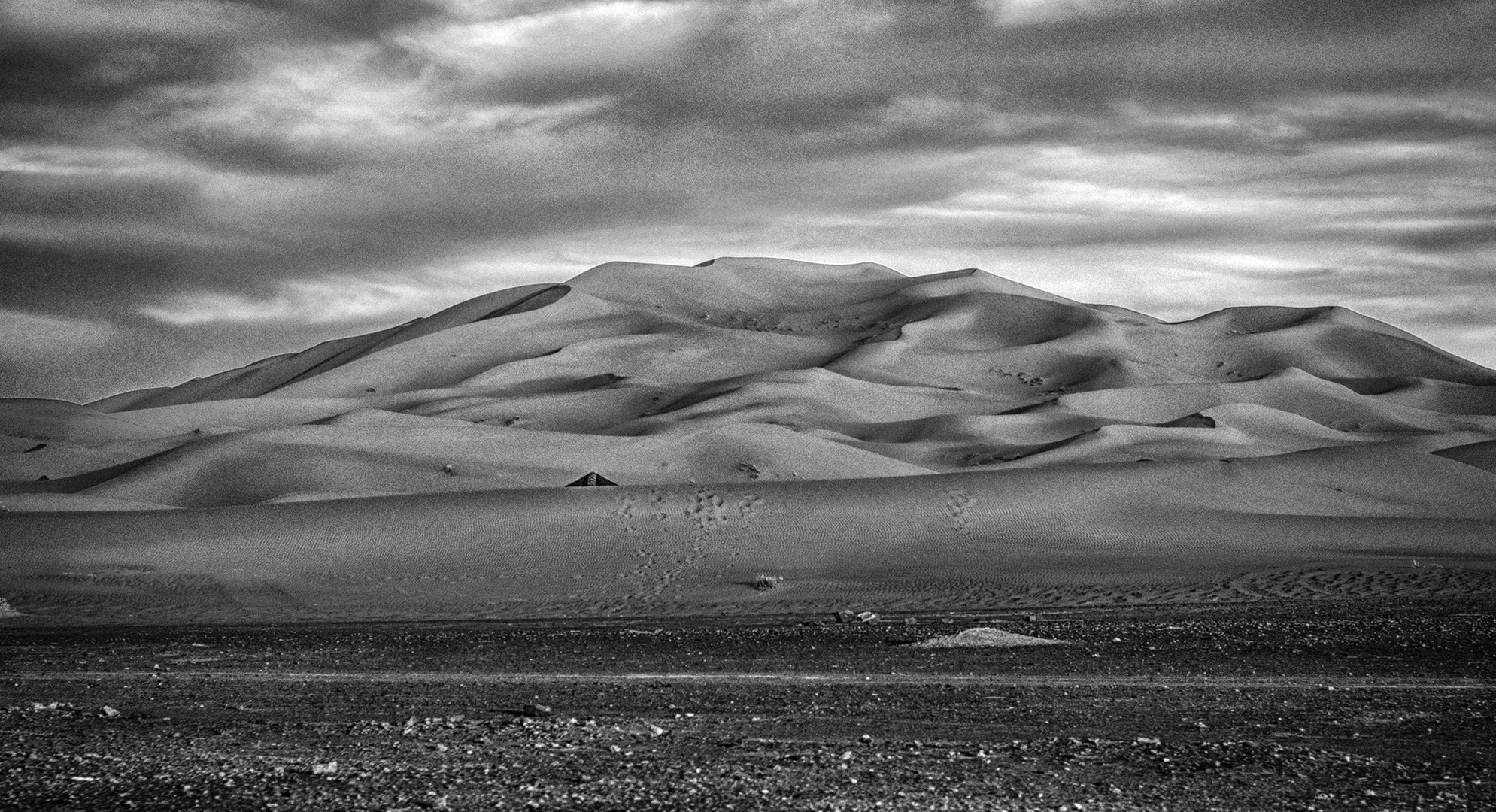 On The Sea of Dune