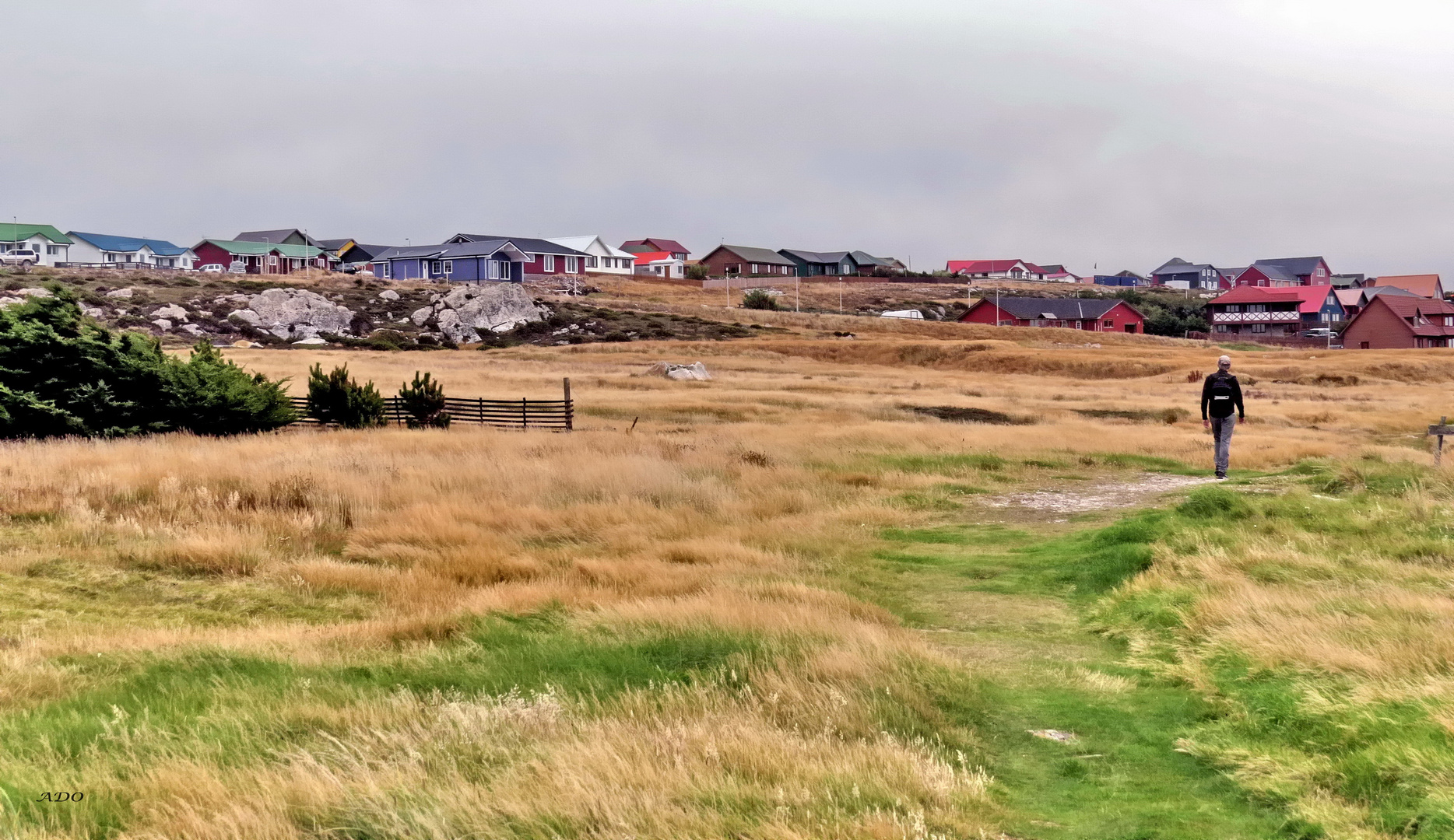 On the Shore in Stanley, Falklands/Malvinas