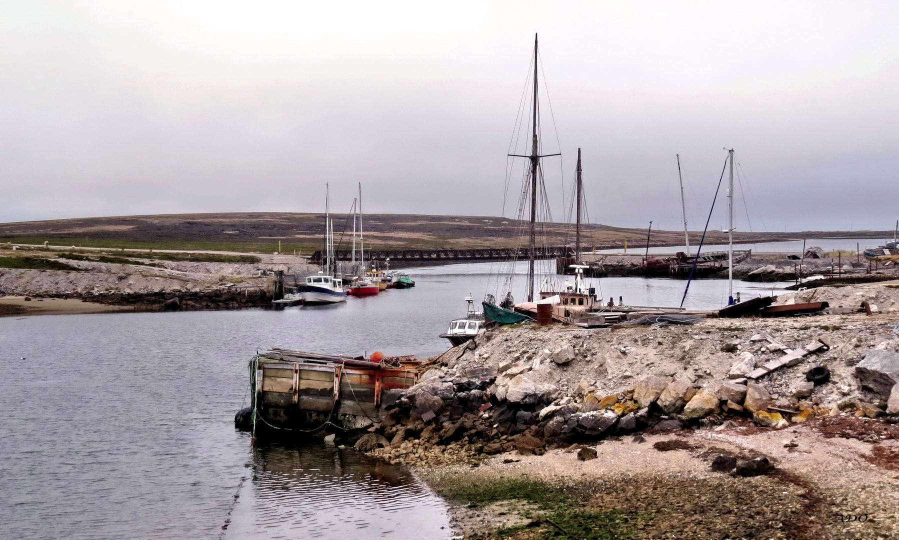 On the Shore in Stanley - Falklands/Malvinas