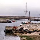 On the Shore in Stanley - Falklands/Malvinas