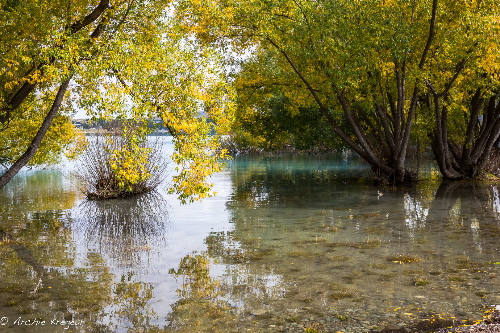 On the shore of Lake Tekapo #1