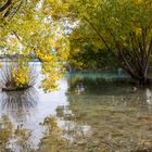 On the shore of Lake Tekapo #1